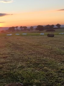 Sprzedam tegoroczne Siano , słomę oraz sianokiszonkę