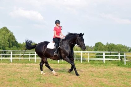 Jazda konna dla początkujących, srednio-zaawansowanych