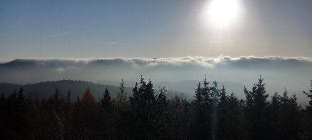 Odśnieżanie, grabienie liści, rąbanie cięcie drzewa