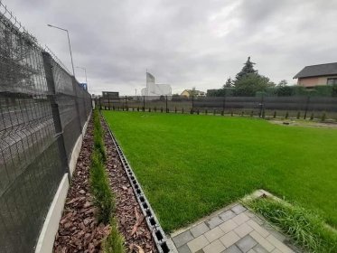 Zakładnie trawnika , siewu