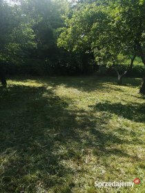 Oferuje pracę związane z ogrodem