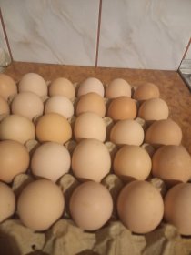 Sprzedam jajka wiejskie duża ilość