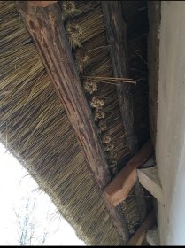 Wykonanie dachów z trzciny oraz słomy