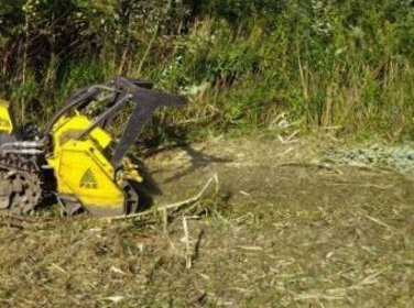 Koszenie Łąk oraz  odkrzaczanie wycinka  krzewów frezem leśnym