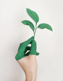 Obsługa BDO, sprawozdawczość, opłaty