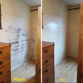 Odgrzybianie, Dezynfekcja, Dezynsekcja