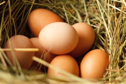 Jajeczka dwużółtkowe ( ekologiczne)