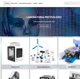 Projektowanie sklepów internetowych