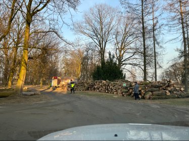 Drewno opałowe lub na biomase