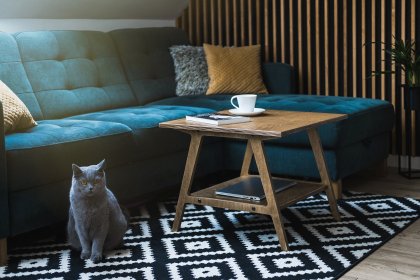 Stolik kawowyt ze sklejki RAW I