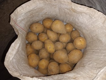 Ziemniaki ekologiczne jadalne sortowane