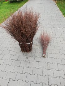 Ziemia ogrodowa / Kora sosnowa / Keramzyt / Workowane / Dostawa