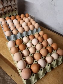 Jajka z wlasnego gospodarstwa