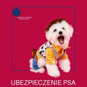 Ubezpieczenie psa