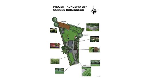 projekt ogrodu