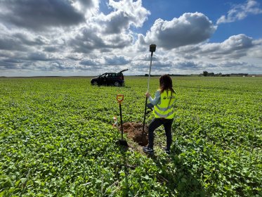 Wznowienie i wyznaczenie granic nieruchomości