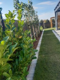 PROJEKT OGRODU  REALIZACJA PIELĘGNACJA