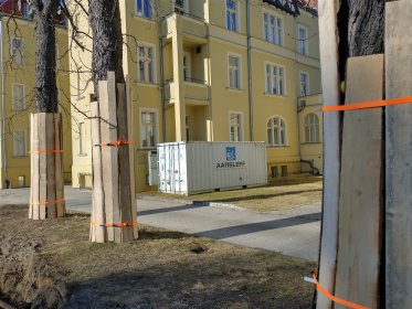Zabezpieczenie drzew na placu budowy