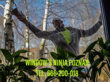 Mycie okien w mieszkaniach i domach.