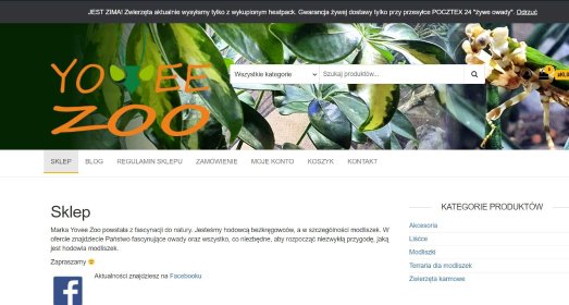 Sklepy WWW - Woocommerce