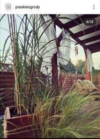 Aranżacja ogrodu, tarasu, balkonu