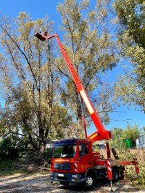 Wycinka, pielęgnacja drzew, czyszczenie działek, podnośnik koszowy