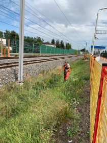 Koszenie Trawników, Skarp, Karczowanie , Prace porządkowe,