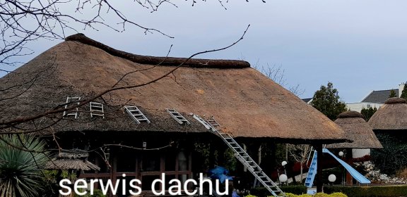 serwis dachów trzcinowych