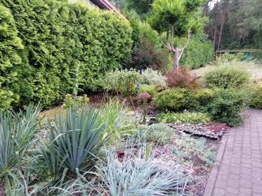 Pielęgnacja ogrodów i terenów zielonych.