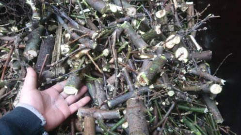 Rębak, rębakowanie gąłęzi, wywóz, utylizacja, przycinka drzew i krzewów