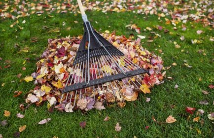 Pielęgnacja ogrodów, trawników, terenów zielonych.