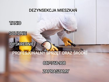 Dezynsekcja mieszkań TANIO SOLIDNIE DYSKRETNIE