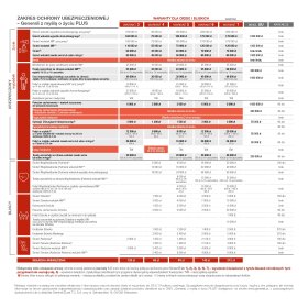 INDYWIDUALNE UBEZPIECZENIE NA ŻYCIE