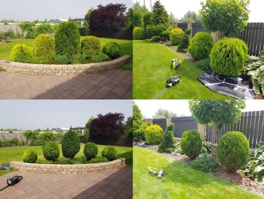 Oferujmy Państwu usługi ogrodnicze / wycinkę drzew / usuwanie karp (frezowanie) / koszenie