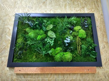 Zielone Ściany Z Mchu i Roślin Stabilizowanych - Obrazy z mchu - Ogrody Wertykalne
