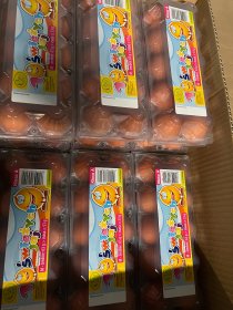Jaja Świeże - Wolny Wybieg, Wybieg Ściółkowy, Klatkowe - Pakowane 10szt