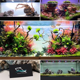 Zakładanie akwarium, terrarium, serwis,konsultacja, doradztwo