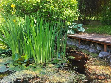 Projektowanie i aranżacja ogrodów.