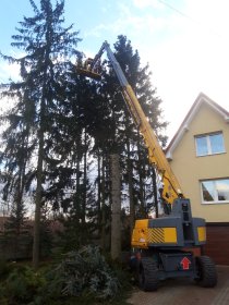 Wycinki drzew z podnośników koszowych