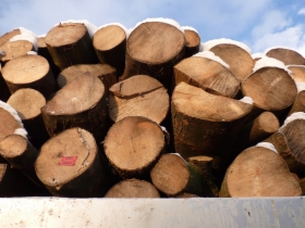 Drewno kominkowe, opałowe, metrówki, rozpałki, podpałki