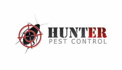 Cockroaches - pest control service