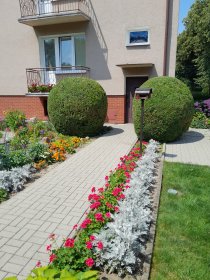 Pielęgnacja ogrodów