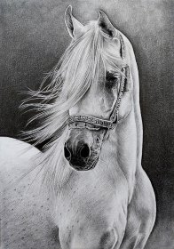 Rysunki oraz obrazy malarskie wykonywane techniką akrylową lub olejną