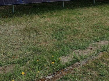 Witam oferuję kompleksową usługę montażu paneli słonecznych na okolicy Wałcza do 100 kilom