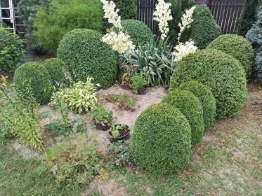 Prace pielęgnacyjne w ogrodzie, wycinka/ciecie/kształtowanie drzew i krzewów