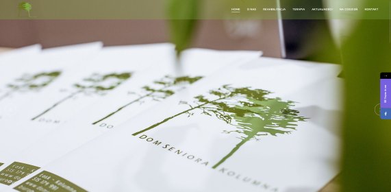 Wykonanie strony internetowej