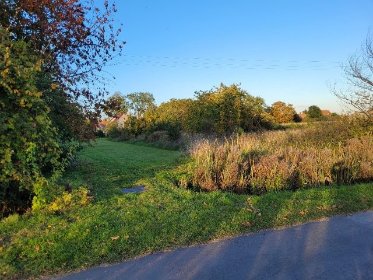 Mielenie gałęzi i krzewów rębakiem