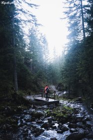 Dowolna Sesja Fotograficzna