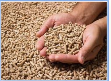 PELLET DRZEWNY SOSNOWY PELLET DRZEWNY SOSNOWY