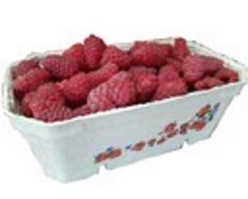 Maliny - świeży zbiór